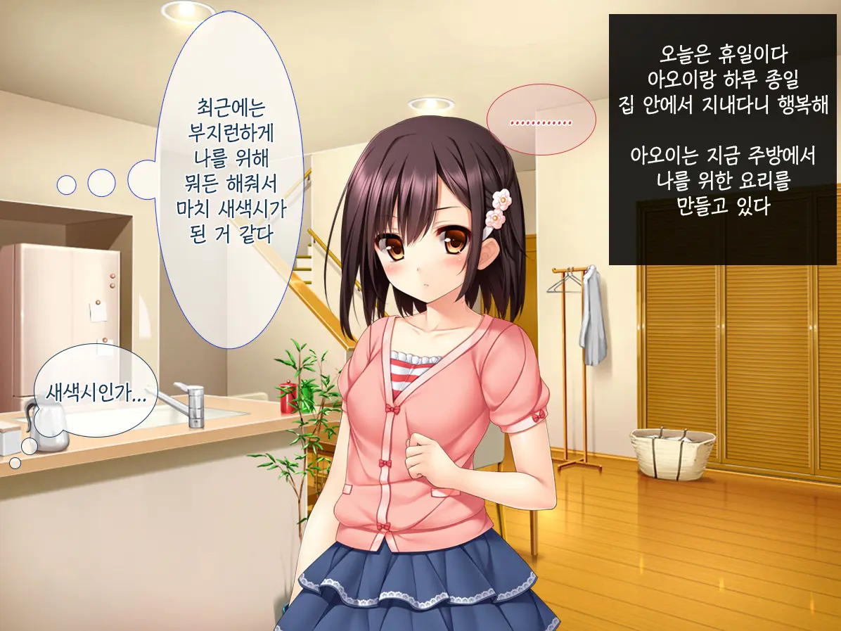 Imouto Ga Suki Sugiru Aniki Ga Kareshi Kara Netoru | 여동생을 엄청 좋아한 오빠가 남자친구에게서 여동생 빼앗기